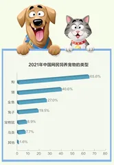 宠物,一门千亿级生意1