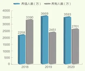 宠物,一门千亿级生意3