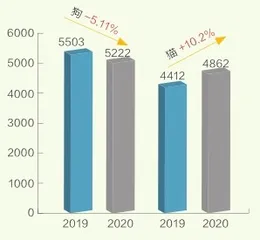 宠物,一门千亿级生意4