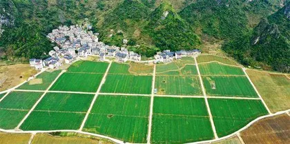 广西巴马绿色产业赋能乡村振兴1