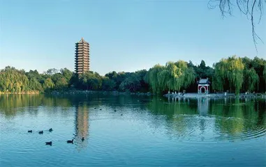 杨辛:把生命活成一部美学1