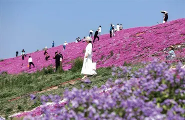 渭河安澜,西安北跨2