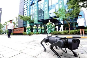新风口怎么投?1