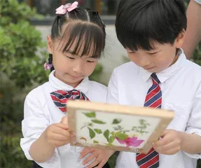 寻根中国传统手工纸3