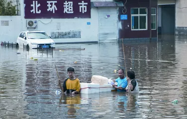 这一年,我们的脆弱与韧性1