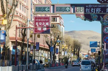 被选中的丁真1