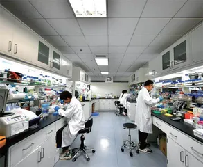 空气变糖,不是魔术1