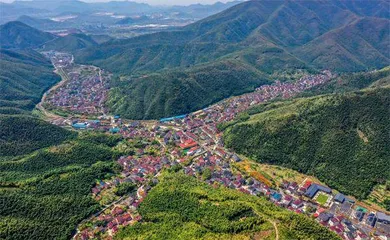 张天任:不离实业不离村2