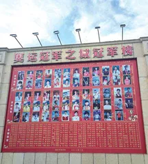 保定:“奥运冠军之城”再出发1