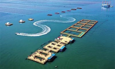 威海:奋进创新型国际海洋强市1