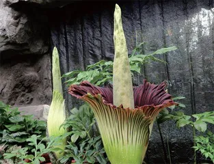 新起点,新征程1