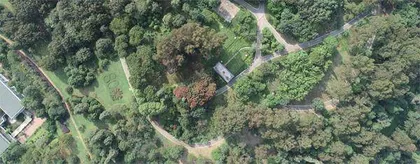 孙卫邦:搭建“植物ICU”1