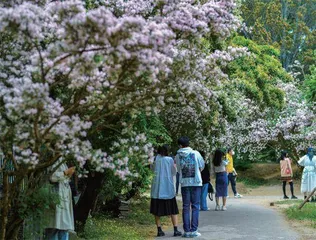 国家植物园:扩容增效整合记2