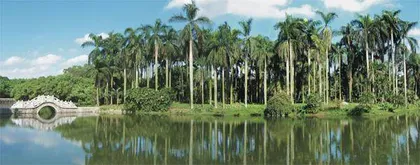 华南国家植物园:对标世界一流3
