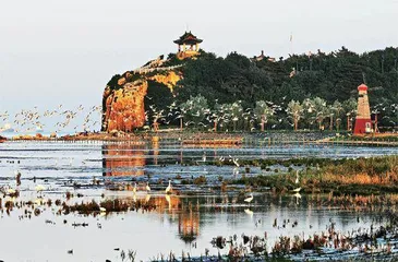 秦皇岛:精准治理造就美丽海湾1