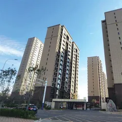 青岛：城市更新落地有声1