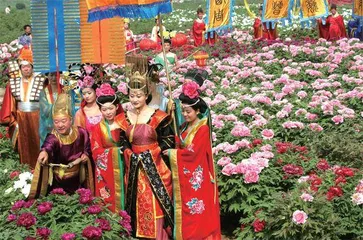 牡丹与洛阳
