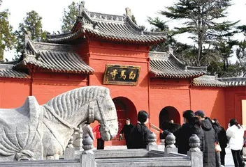 白马原自丝路来