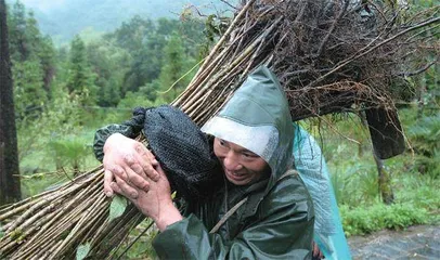 甲米呜呼,天行健1