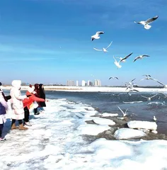 逐鹿冰雪经济,东北三省谁最强?2