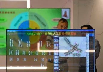 挑战不可能