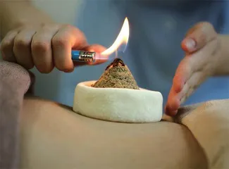 推动络病理论创新,挺起中医药脊梁2