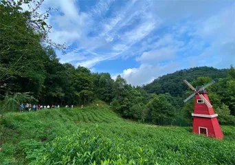 淳安：在林海中挖出“第二个千岛湖”