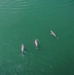 湖北:奏响新时代长江之歌1