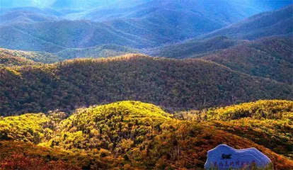 虎啸山林,豹走青川1