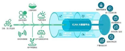 中芯国际凶猛
