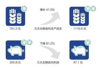 粮食安全与乡村振兴1
