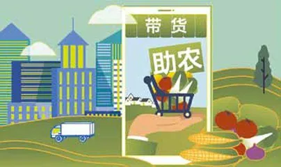 助农直播中的人、货、场1