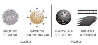 纳米农药的分类1