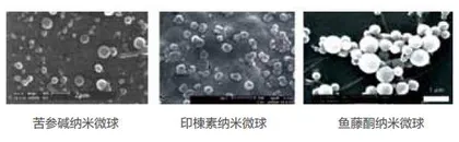 纳米农药的分类2