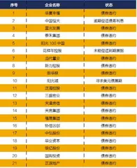 地产大变局2