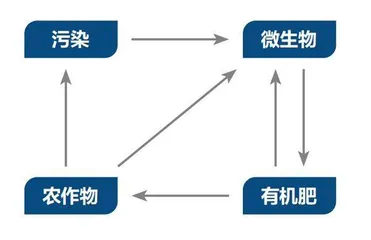 康师傅:跨过胡焕庸线的绿色样本1