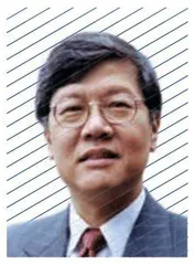 美元债务实为股权
