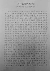 郑妮娜力:我为什么代表中国2
