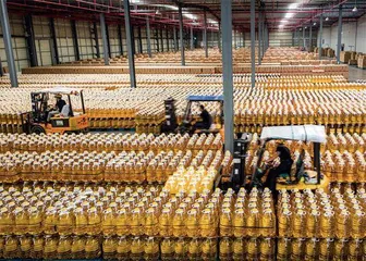 食用油专车专运为何难以落实？