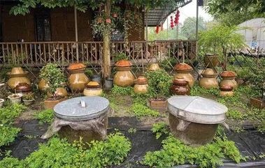 辞职入乡种地十年1