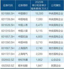 普华永道处罚落地1