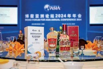 携手博鳌亚洲论坛，五粮液引领中国白酒走向世界