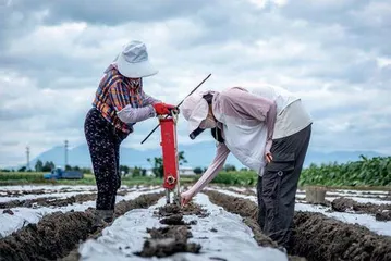 拼多多发布Q2财报,投入百亿扶持 新质商家,持续助力商家提质增效1