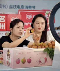 拼多多一季报:高质量发展驶入深水区 业绩数据给予正向肯定1