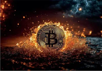 6.1万枚比特币与中国逃犯