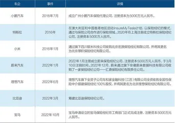 特斯拉VS比亚迪:电车巨头的保险新浪潮2