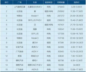 繁荣和警醒:2023年新能源汽车展望2