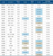光伏企业谁能“剩”者为王1