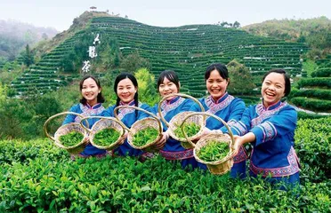 广西南丹:产业发展赋能乡村振兴1