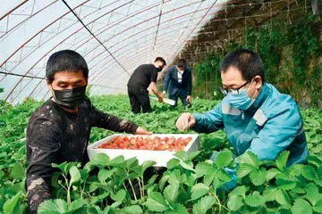 盘锦助农“乡村邮路”:交邮合作点亮城乡幸福之光0